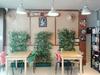Hostal Rainforest Guest House