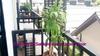 Hotel Phi Phi Andaman Legacy Resort