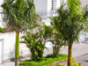 Trujillo - El Golf Apartments