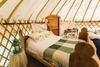 Rock Farm Slane - Glamping