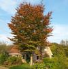Bed En Breakfast Rust En Ruimte