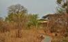 Apartamento Muchenje Campsite And Cottages