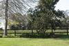 Bed & Breakfast Kurlandpark