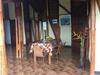 Hostal Finca El Recreo