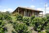 Hostal Finca El Recreo