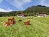 Apartamentos Ferienhaus Lehen