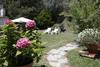 Bed & Breakfast Casa Virgilio