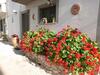 Agroturismo La Quiete
