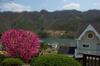Ecran Pension
