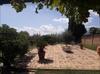 Bed & Breakfast Villa Chiarenza Maison D'hotes