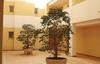 Holiday Apartment Torrevieja 06