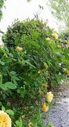Bed & Breakfast La Clef Du Bonheur