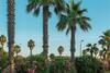 Camping La Pergola