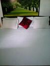 Hostal Lotus Inn Tourist Resort