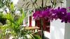 Hostal Splendid Lodge