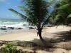 Hotel Alska Beach House