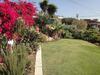 Orchidea Terrace