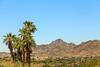 Pinnacle Peak