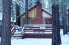 Cottage In The Pines By Big Bear Cool Cabins