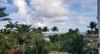 Apartamento One Bedroom Ocean Drive Suite