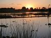 Hotel Days Inn & Suites By Wyndham Lake Okeechobee