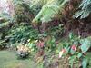 Hostal Carson's Kaloko Mountain Cottage