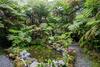 Alas Del Kealoha By Hawaii Volcano Vacations