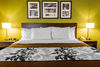 Hotel Sleep Inn Midland