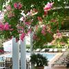 Melia Cala D�or Boutique Hotel
