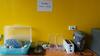 Hostal Lanta Long Beach Hostel