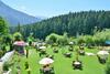 Hotel Snow Valley Resorts Manali