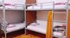 Albergue Tiny Tigers