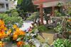 Hotel Villa Pink House