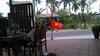 Thao Nguyen Phat Homestay