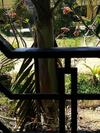Cam Nam Homestay