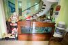 Hostal Sunny Fine Guesthouse