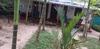 Bed & Breakfast Marari Nest Beach Homestay