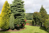 Bed & Breakfast Sleepy Hollow