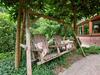 Holiday Home Mon Repos