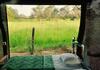 Lodge Elephant Watch Hut