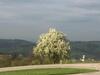 Apartamento Ferienwohnungen K�ssl