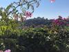 Bed & Breakfast Les Grimaldines - Maison D'h�tes