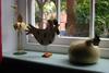 Horse & Groom B&B