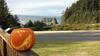Hotel Whaleshead Beach Resort