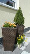 Blackforest Apartment