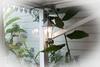 Bed & Breakfast Ti Kaz Hoareau
