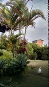 Villa Finca San Fernando