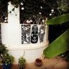 Albergue Fat Cat Backpackers