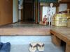 Hostal Guesthouse Fujiya