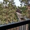 Apartamento Riverhouse On The Deschutes